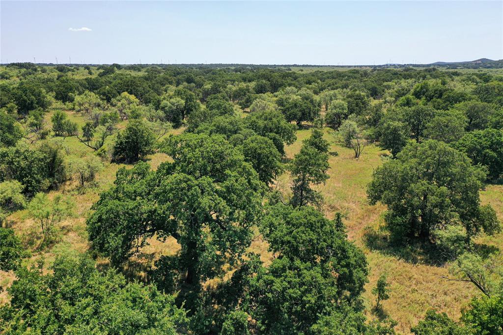 1259 Roney Road Jacksboro, TX 76458 - Photo 23 of 40 a view of a forest with a houses