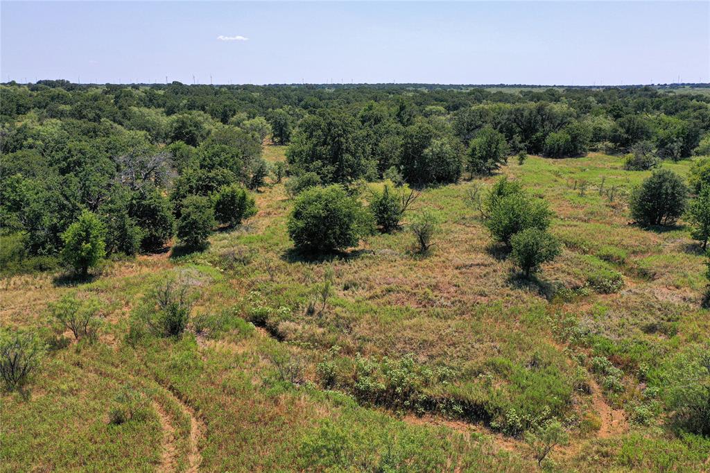 1259 Roney Road Jacksboro, TX 76458 - Photo 24 of 40 a view of a lush green forest with lots of trees