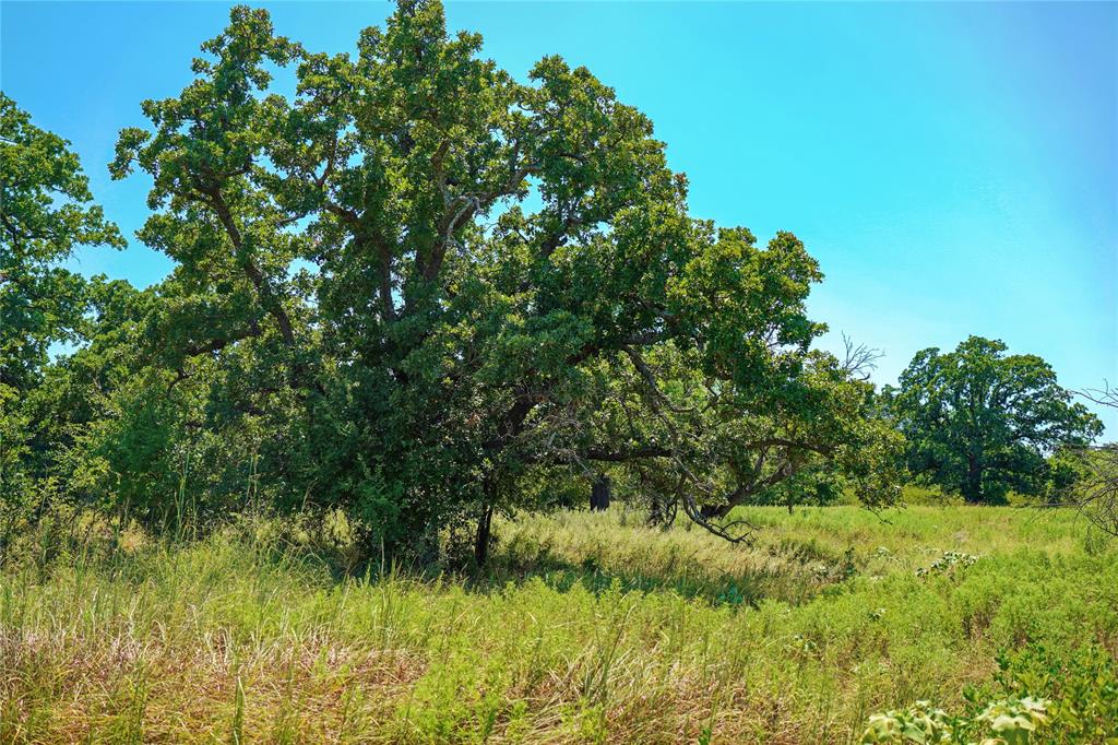 1259 Roney Road Jacksboro, TX 76458 - Photo 26 of 40 a view of a garden