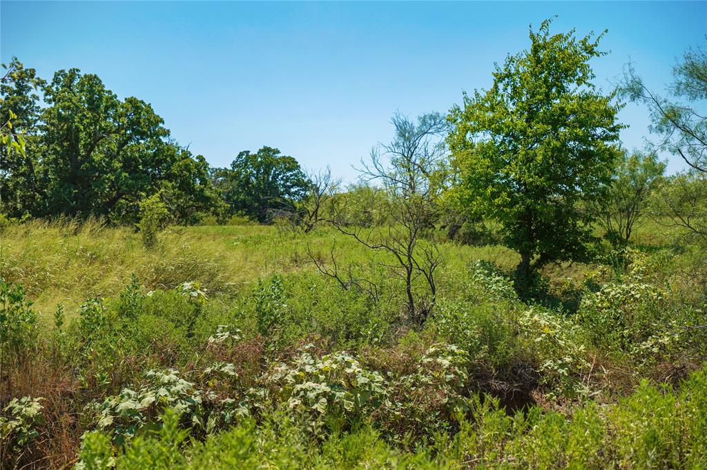 1259 Roney Road Jacksboro, TX 76458 - Photo 34 of 40 a view of a garden