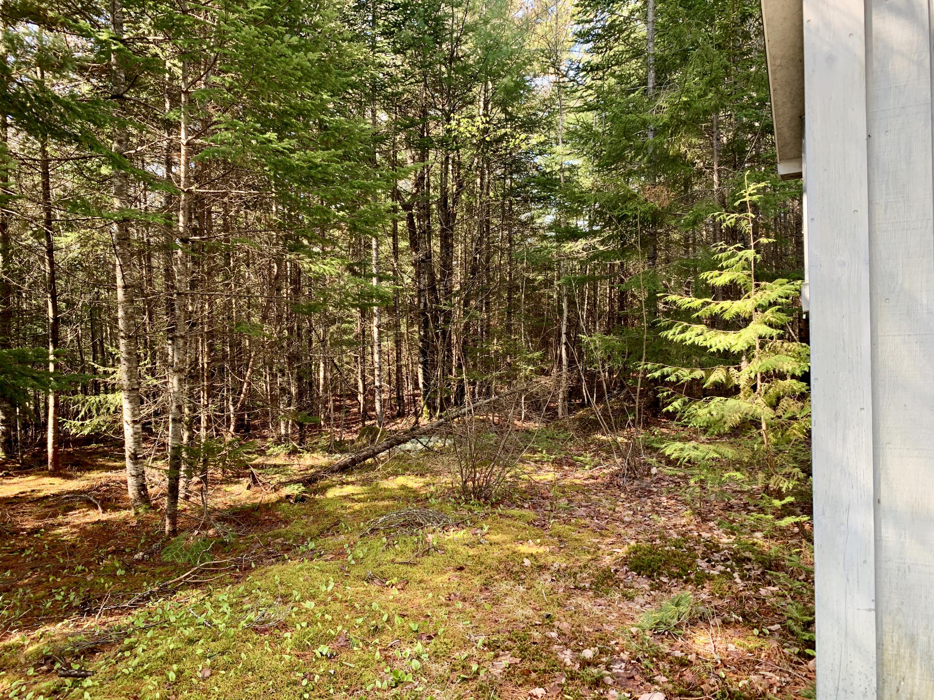 5 F Northfield Road Machias, ME 04654 - Photo 23 of 33 fullsizeoutput_1543