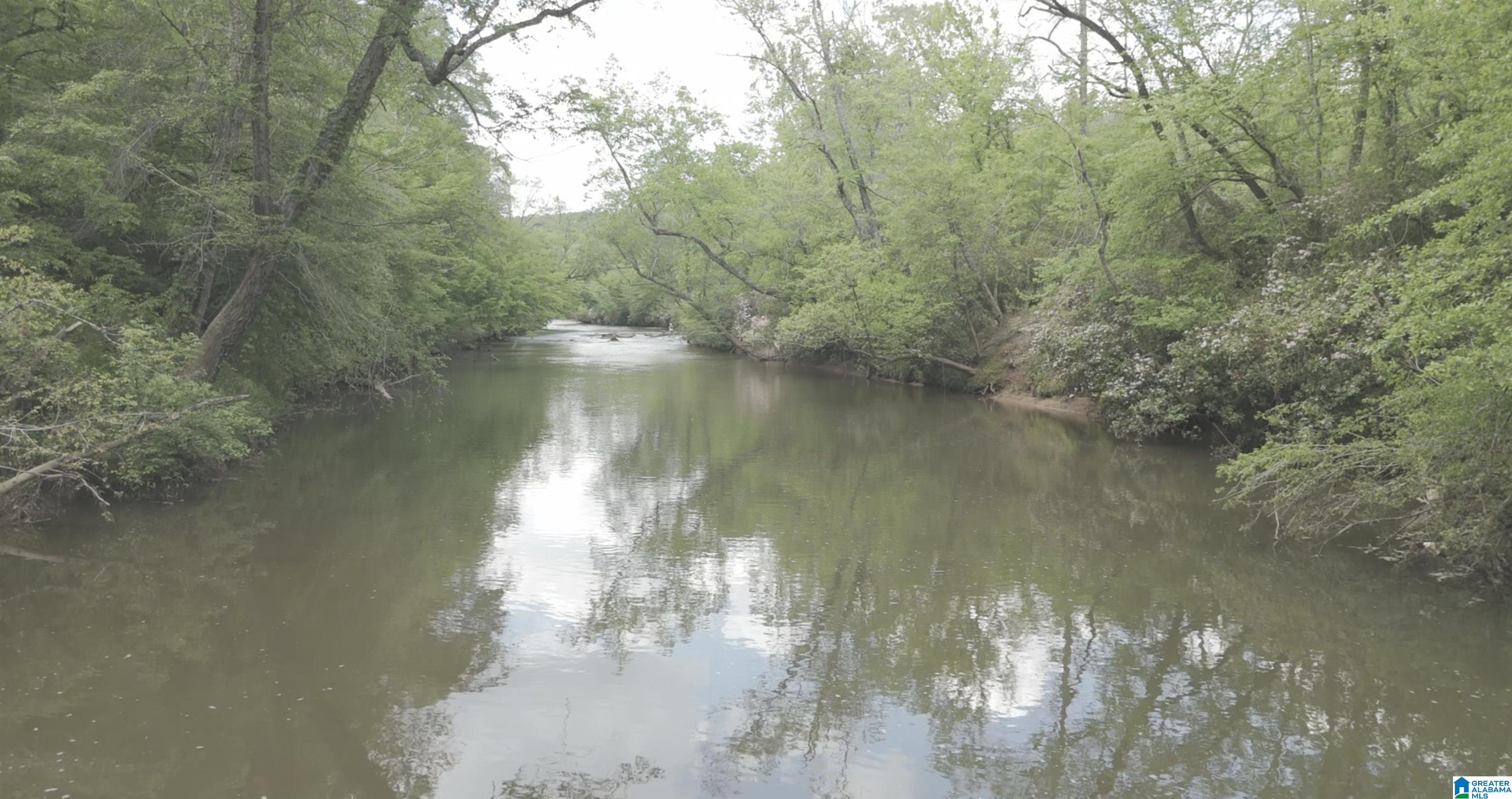 1051 Pate Road, Unit TRACT 5 AND 6 Cragford, AL 36255 - Photo 5 of 34
