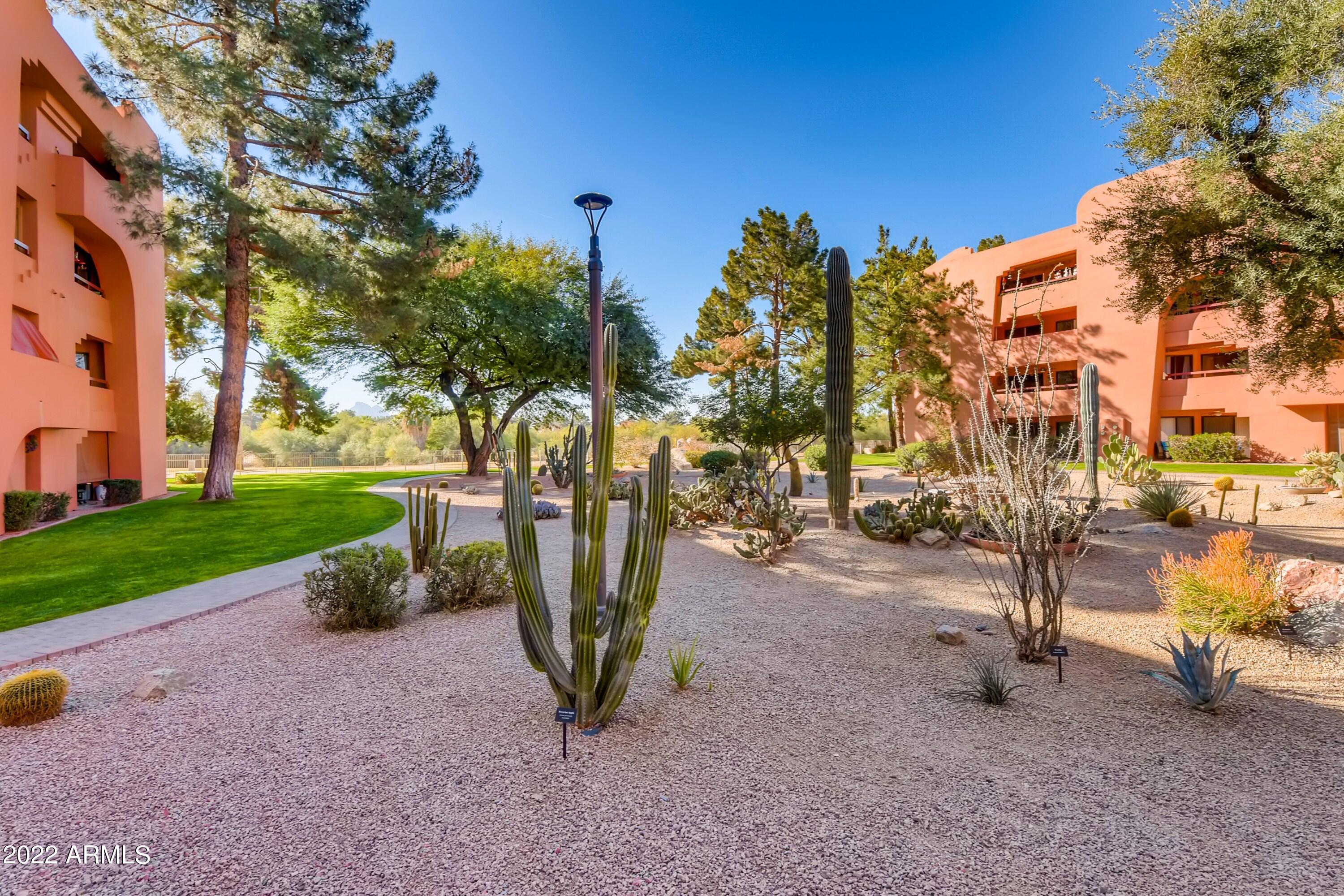 4303 East Cactus Road, Unit 326 Phoenix, AZ 85032 - Photo 14 of 17 34 Views