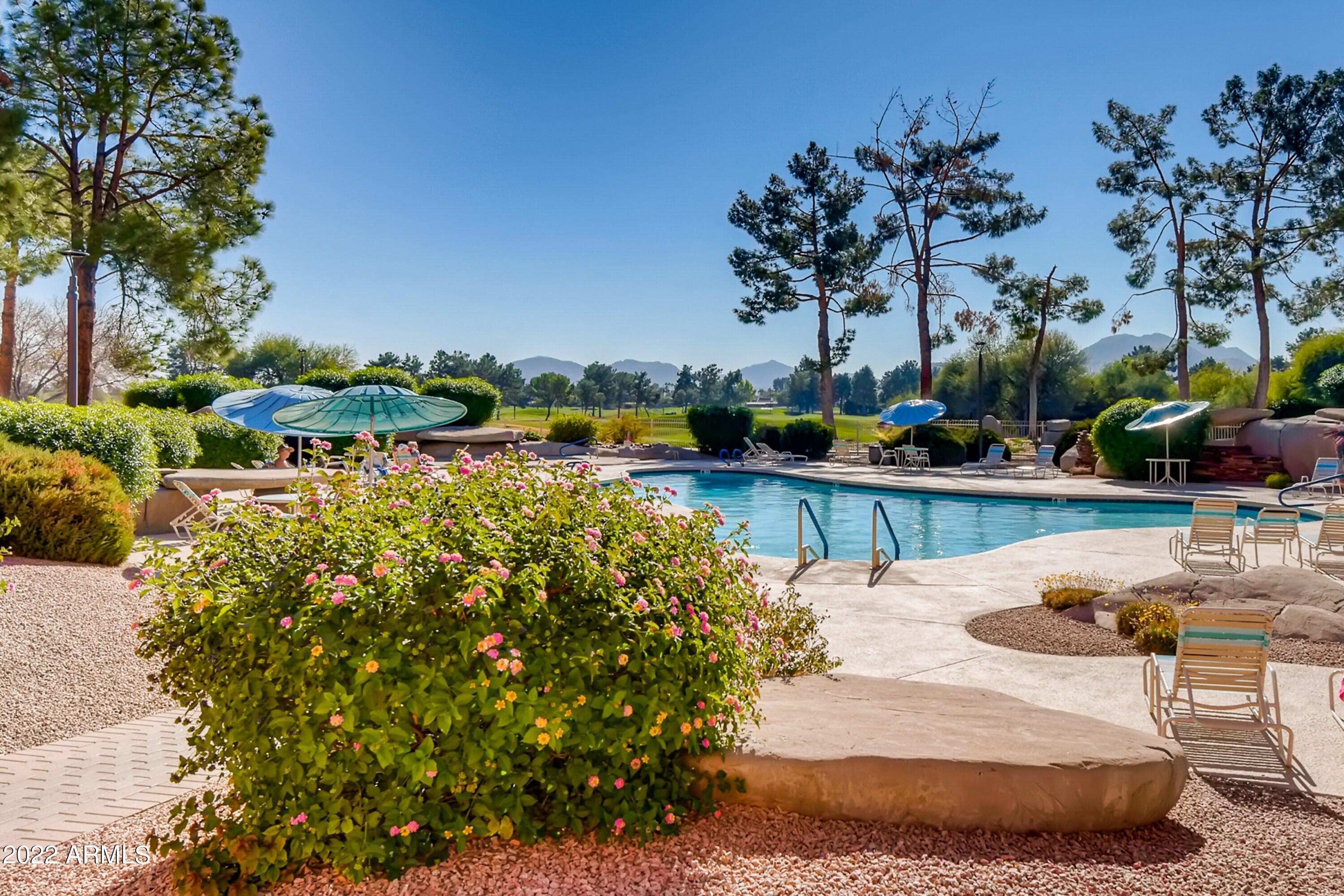 4303 East Cactus Road, Unit 326 Phoenix, AZ 85032 - Photo 3 of 17 39 Exterior Pool