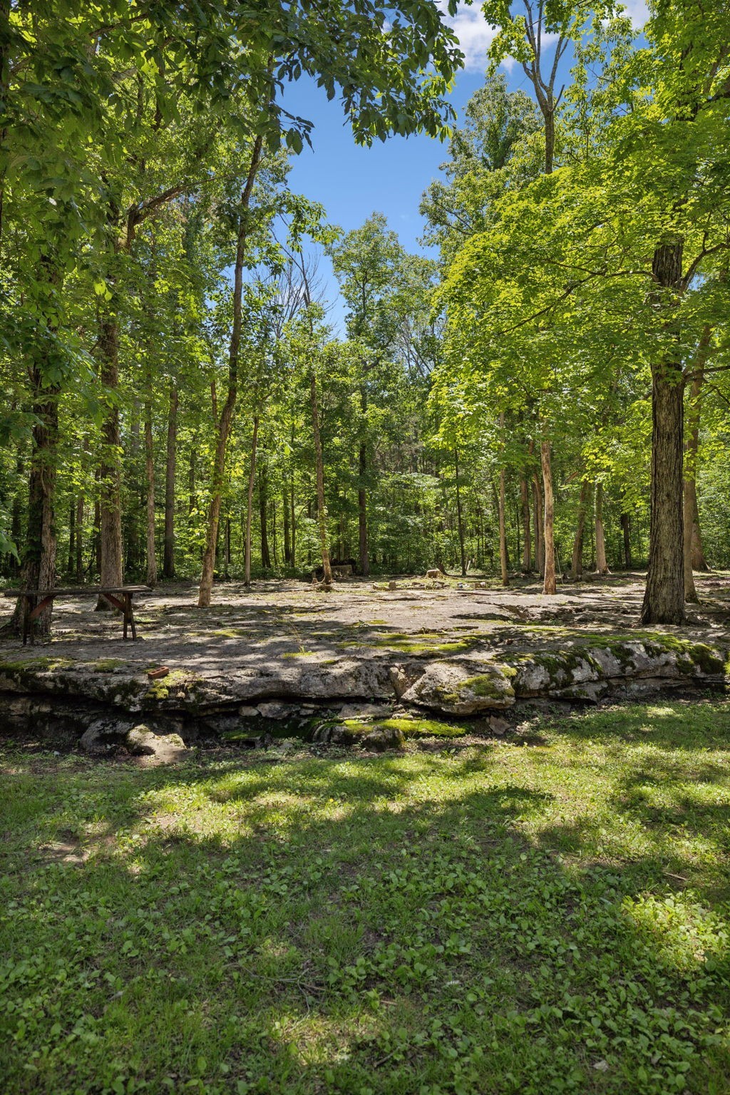 1150 Deer Run Road Murfreesboro, TN 37128 - Photo 77 of 85 Gallery Image 77