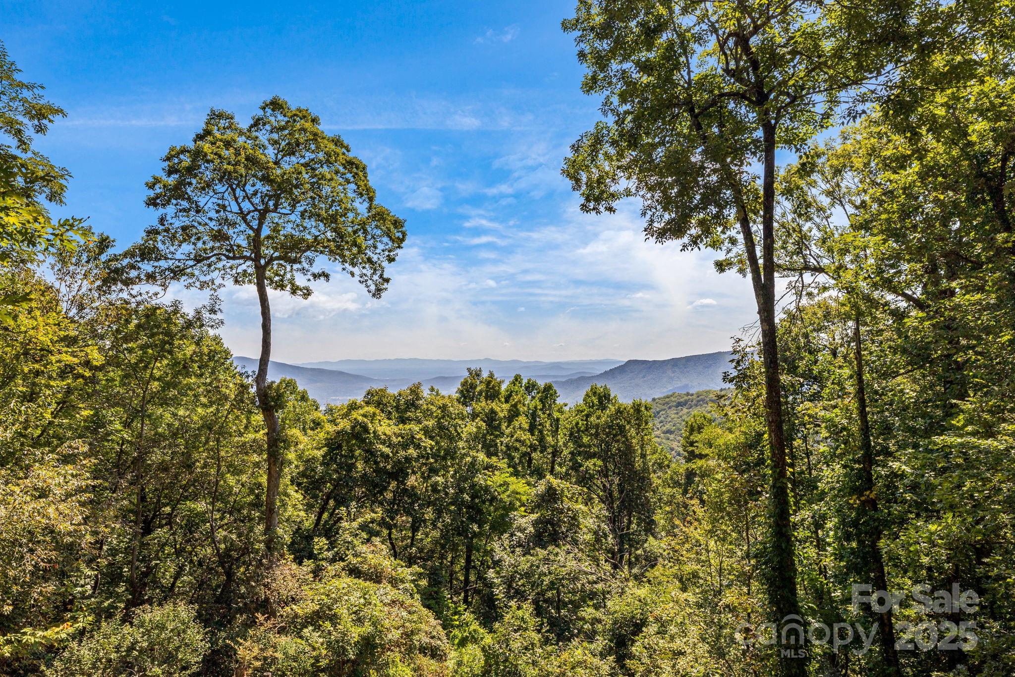 765-764 Osborn Knob Road Marion, NC 28752 - Photo 7 of 47