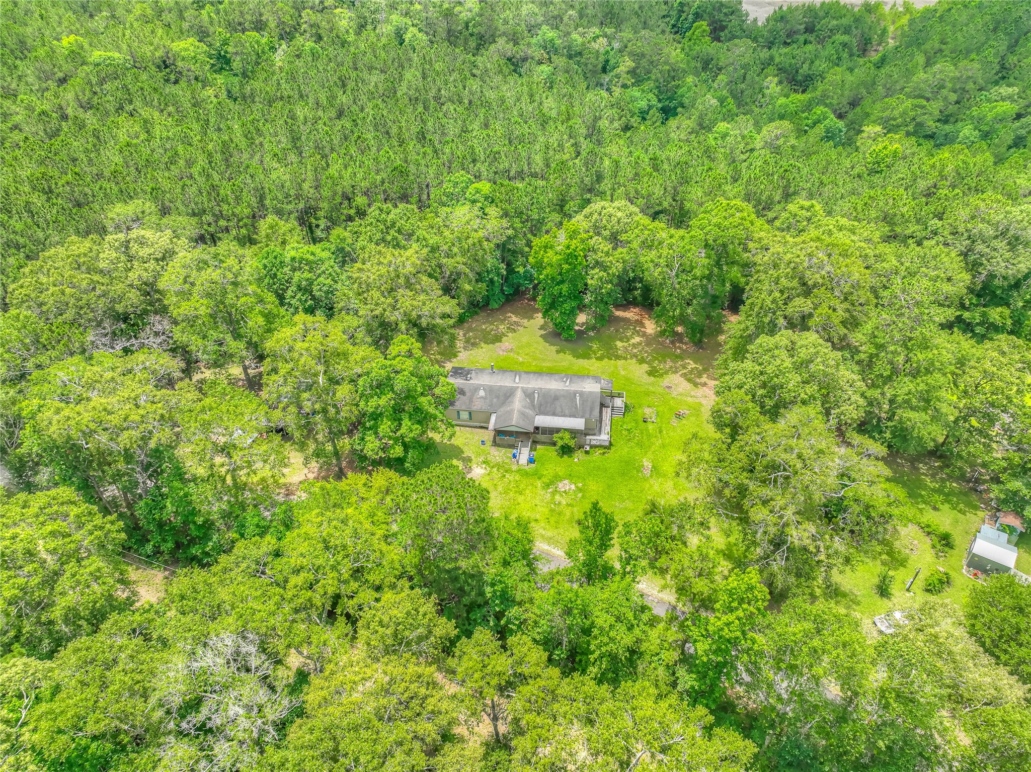 657 Parrish Road Livingston, TX 77351 - Photo 45 of 47 a view of a lush green forest