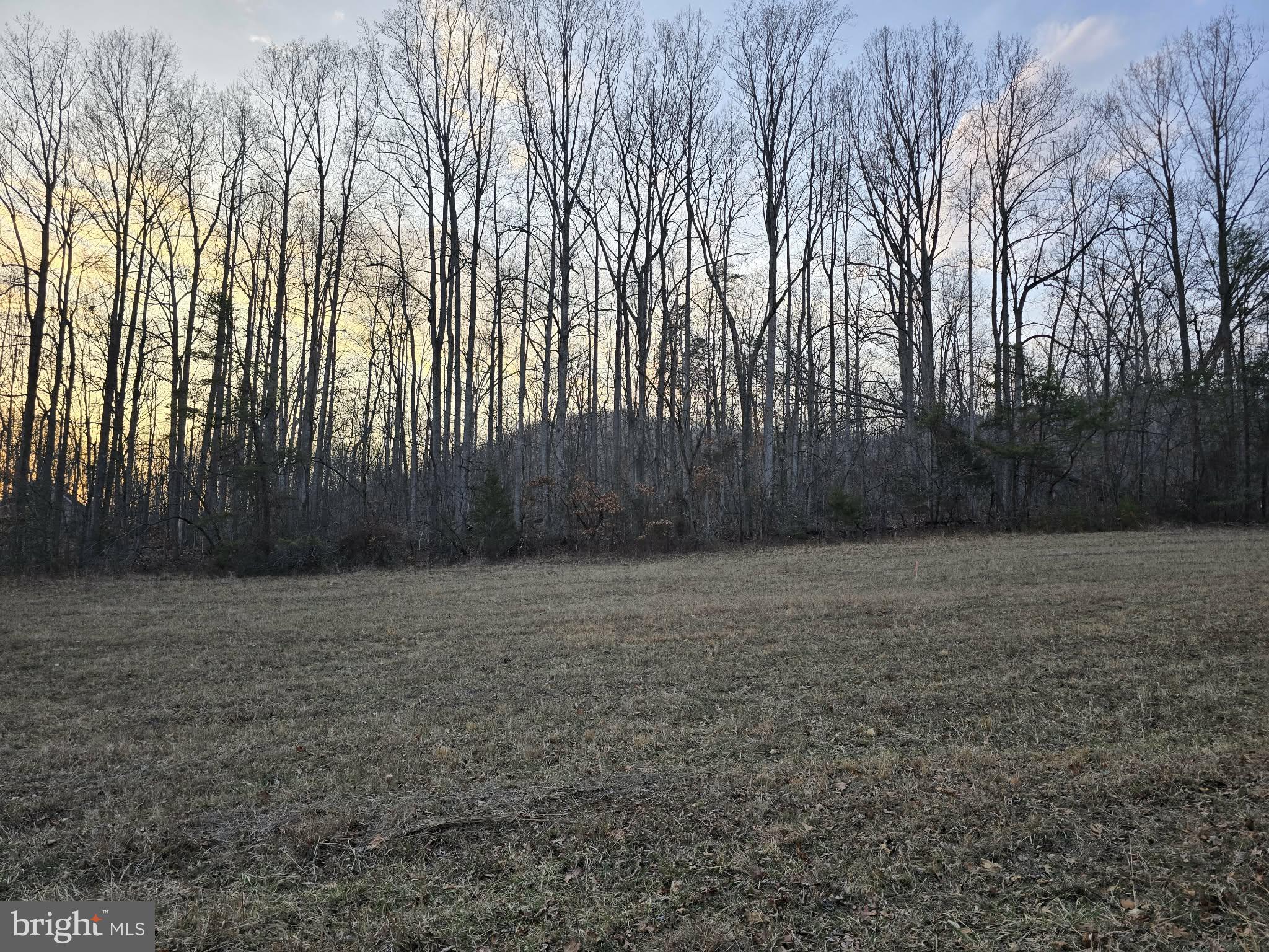 Tm# 42-5 Tm Road Culpeper, VA 22701 - Photo 5 of 14