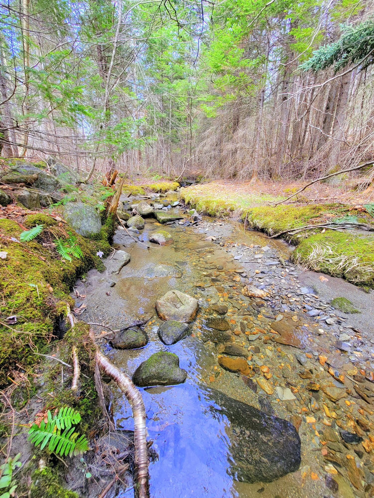 181 Brown Road Farmington, ME 04938 - Photo 4 of 110 Streams