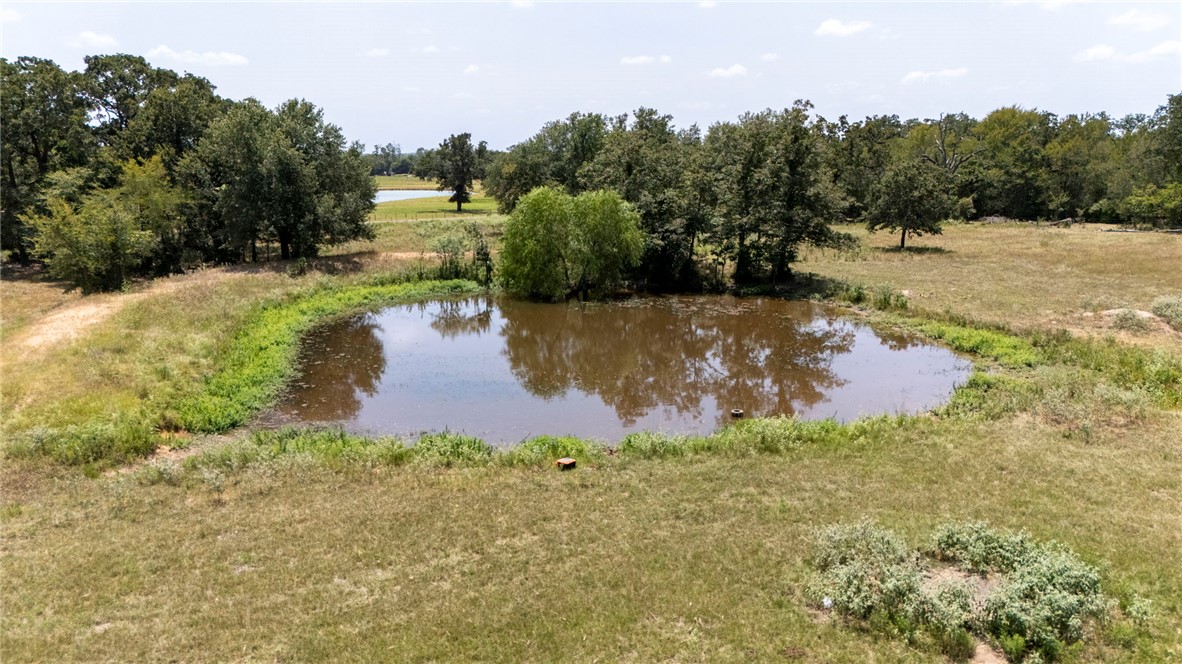 Tbd Templeton Road Hearne, TX 77859 - Photo 7 of 19 Gallery Image 7