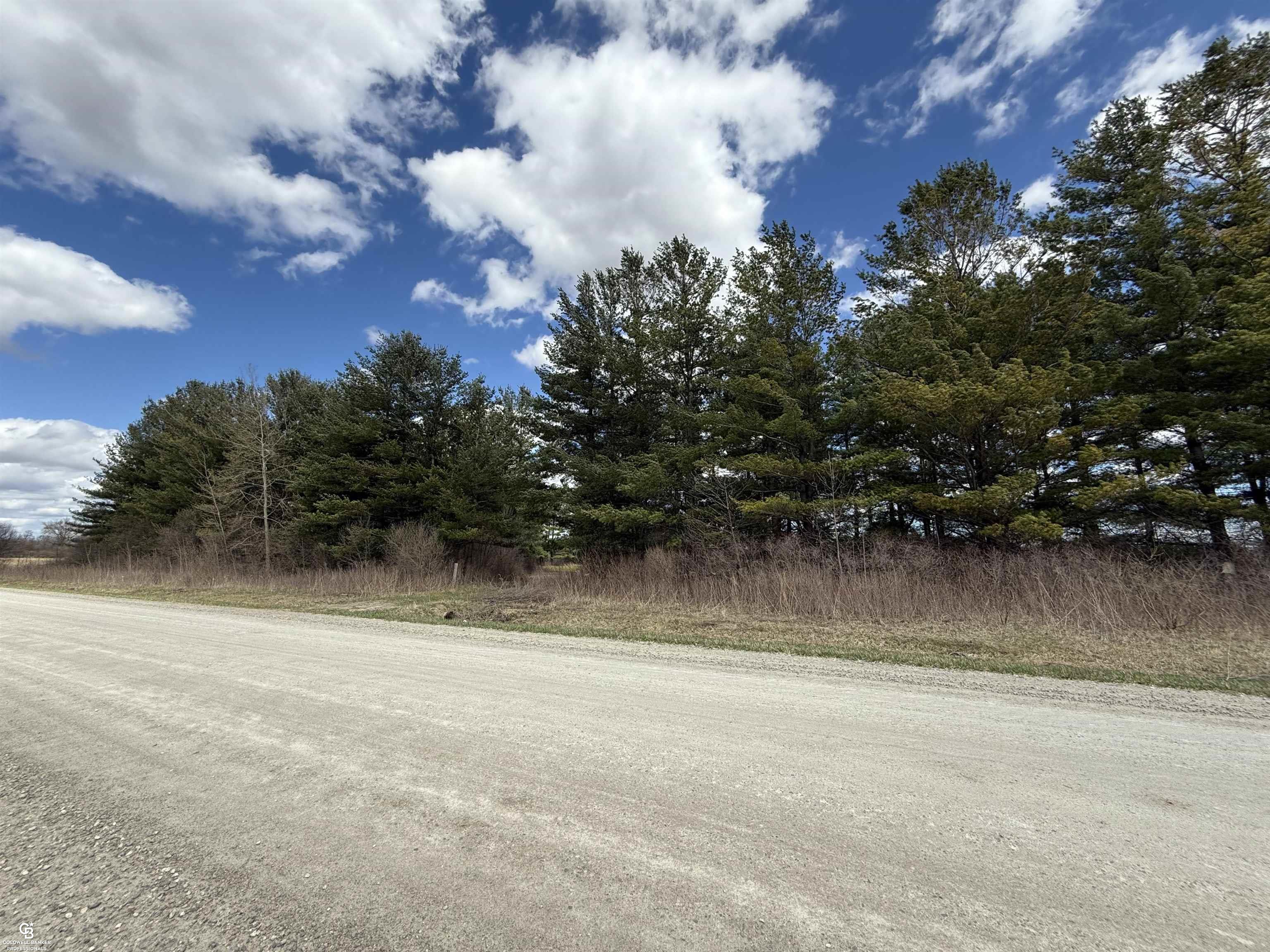 Vl Brown Road Avoca, MI 48006 - Photo 2 of 5