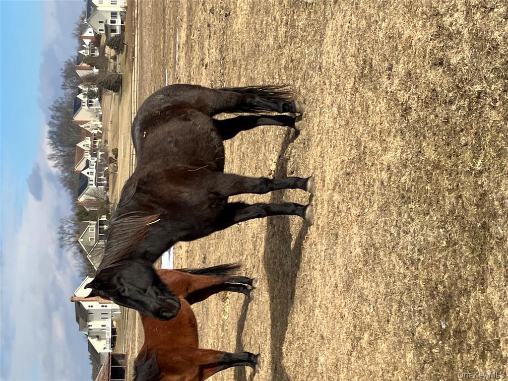 133 Ridgebury Road New Hampton, NY 10958 - Photo 14 of 14 Exterior view of a residential view