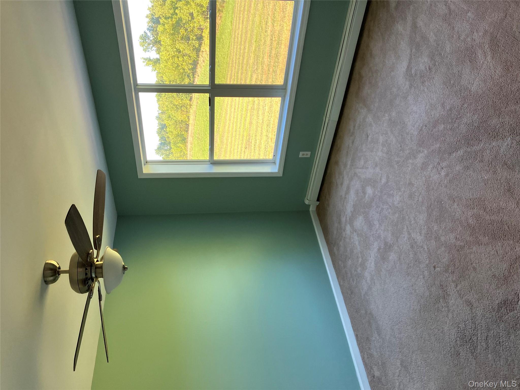 133 Ridgebury Road New Hampton, NY 10958 - Photo 7 of 14 Empty room with baseboard heating, carpet, and ceiling fan
