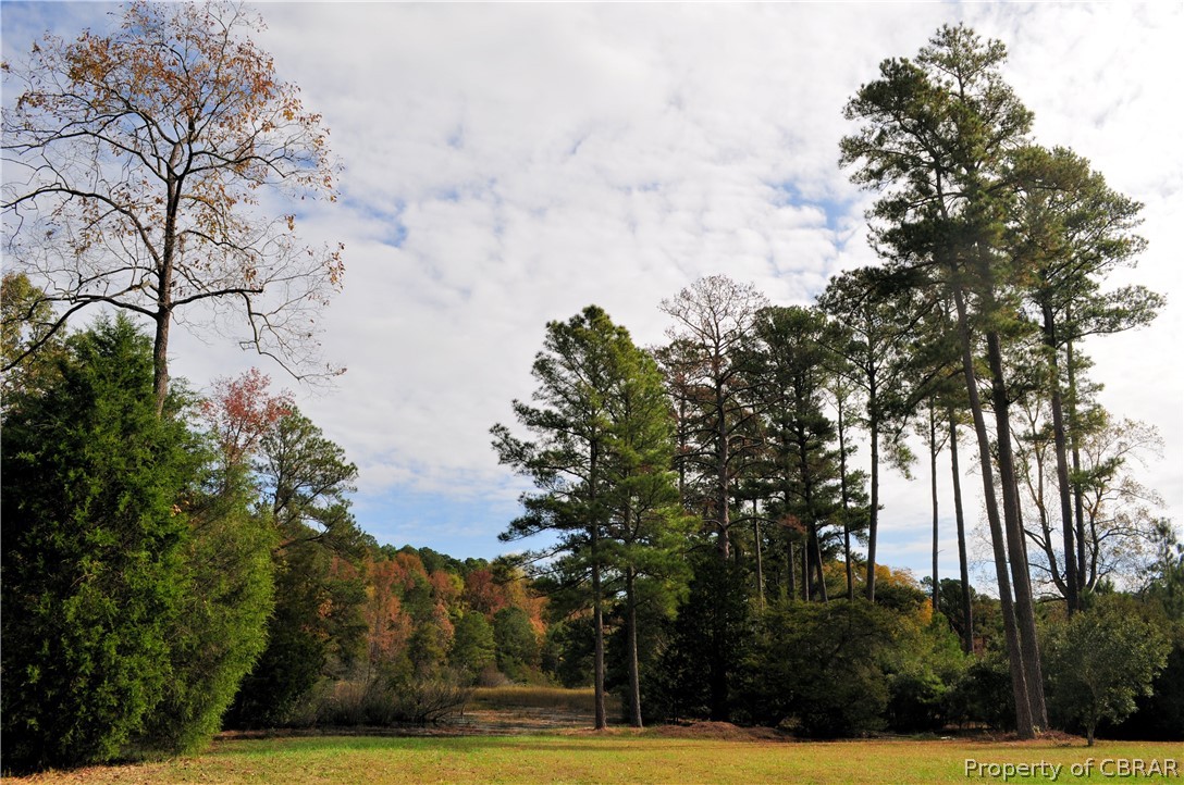 Lot 35 Chapel Neck Road North, VA 23128 - Photo 7 of 9 Gallery Image 7