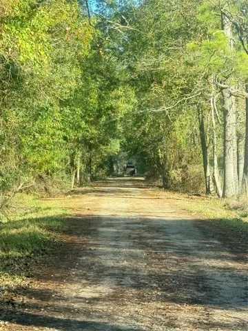 a view of a yard with trees in the background