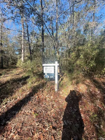 $160,000 | 0 Gulf Oil Road, Devers, TX 77538