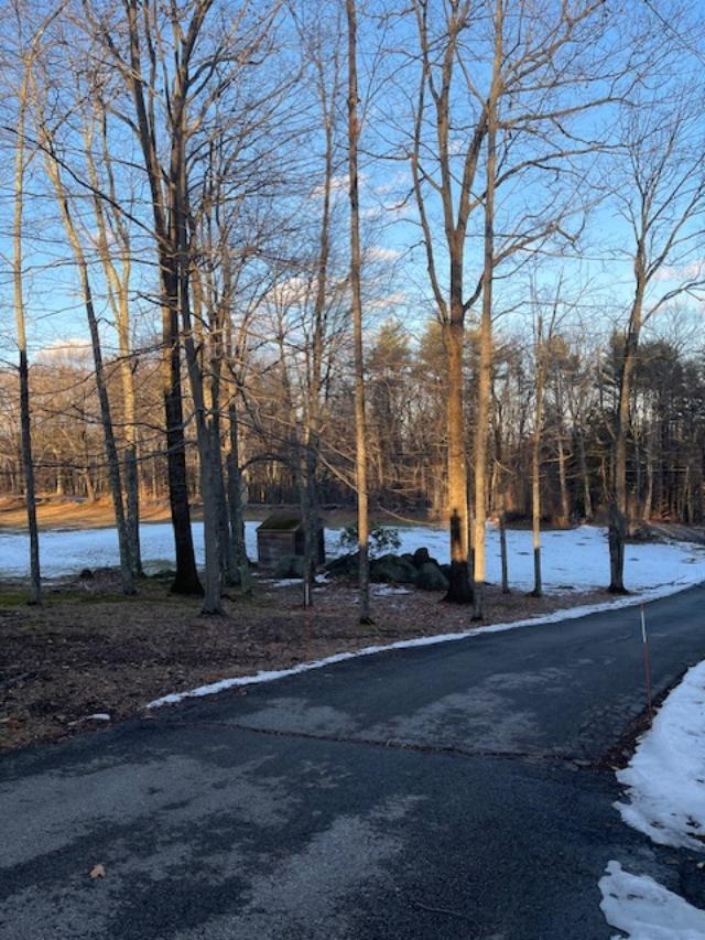 163 Gould Hill Road, Unit A Hopkinton, NH 03229 - Photo 2 of 11