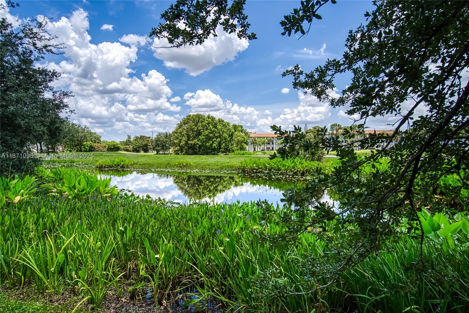 2500 Southwest 81st Avenue, Unit 402 Davie, FL 33324 - Photo 34 of 51 a view of a garden with a building in the background