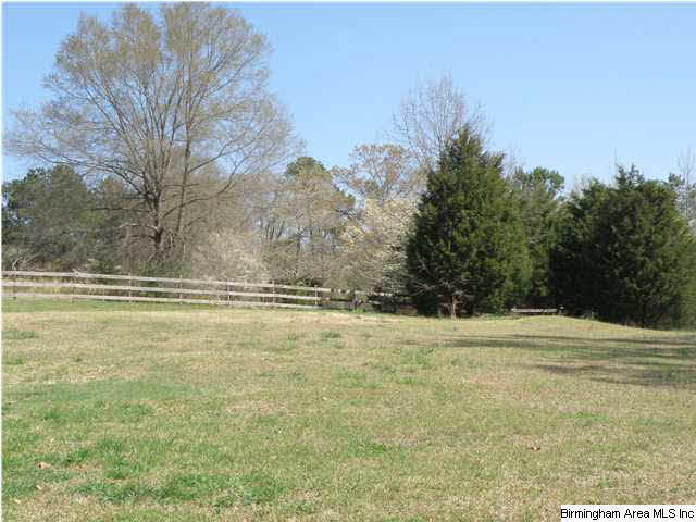 234 Tumblin Road Warrior, AL 35180 - Photo 10 of 32
