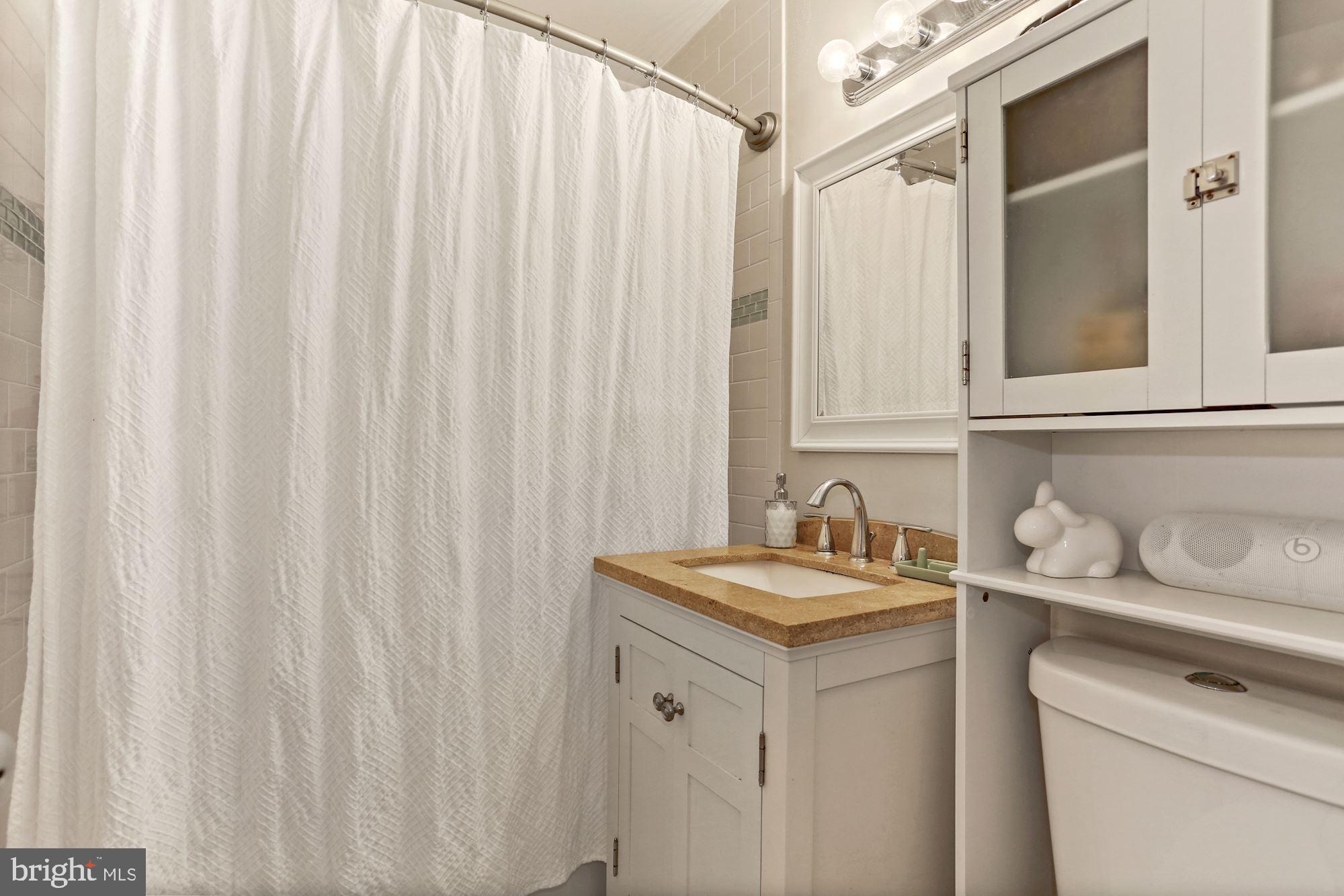 725 Delaware Avenue Southwest, Unit 218 Washington, DC 20024 - Photo 12 of 14 a bathroom with a sink and a mirror