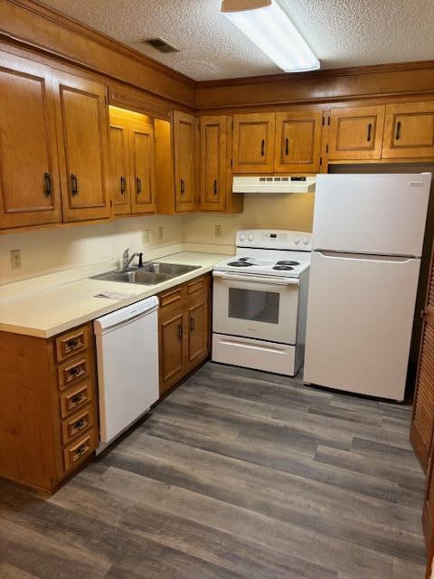 1996 Coral Way Sumter, SC 29150 - Photo 5 of 12 IMG_0303