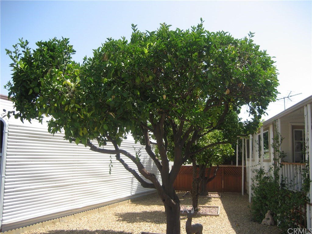 3700 Buchanan Street, Unit 171 Riverside, CA 92505 - Photo 6 of 21