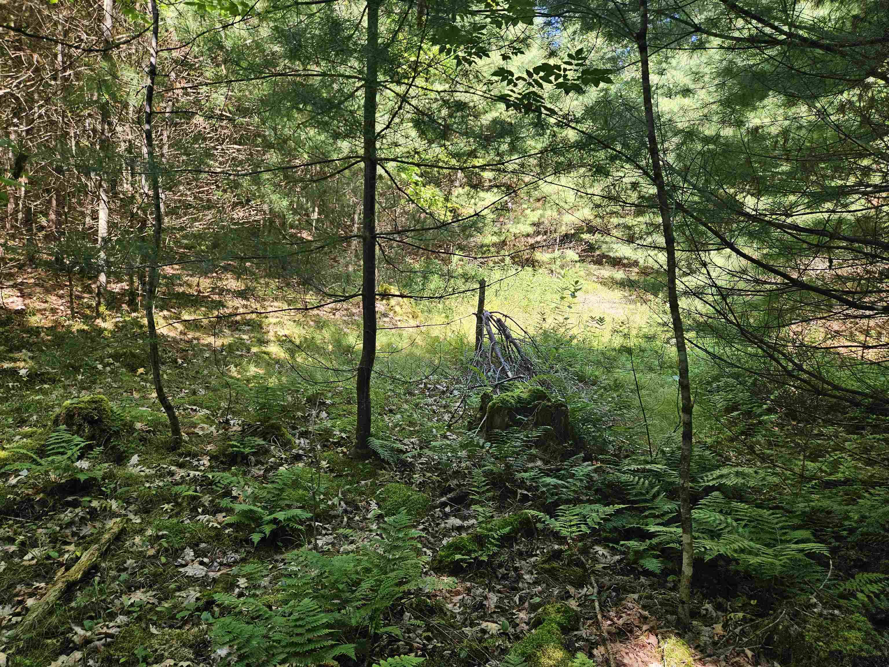 Lot 3.2 Off Parker Road Lisbon, NH 03585 - Photo 12 of 29 Gallery Image 12