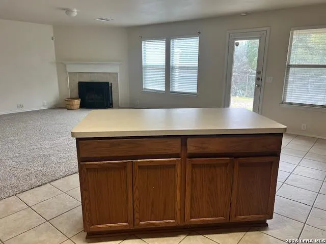 $2,050 | 3618 Alpine Aster, San Antonio, TX 78259