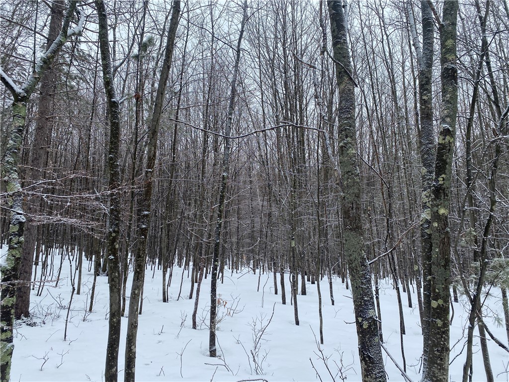Seven Seven Mile Road Herbster, WI 54844 - Photo 2 of 4