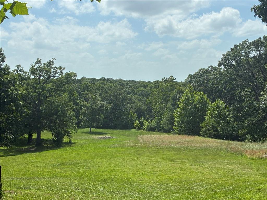 827 Southeast 425th Road Knob Noster, MO 65336 - Photo 2 of 7