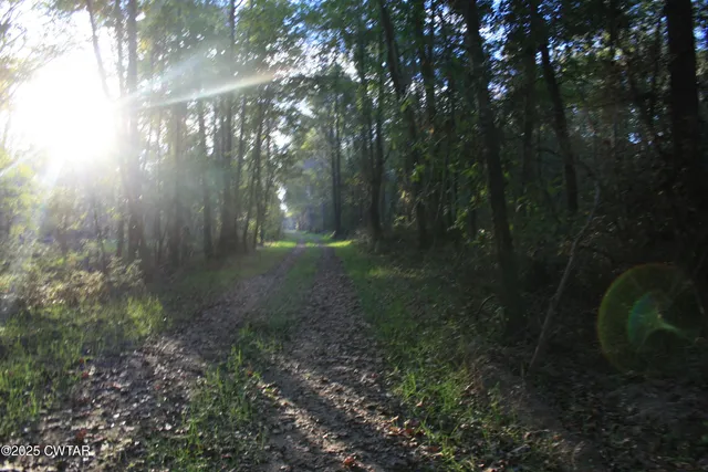 a view of outdoor space and trees