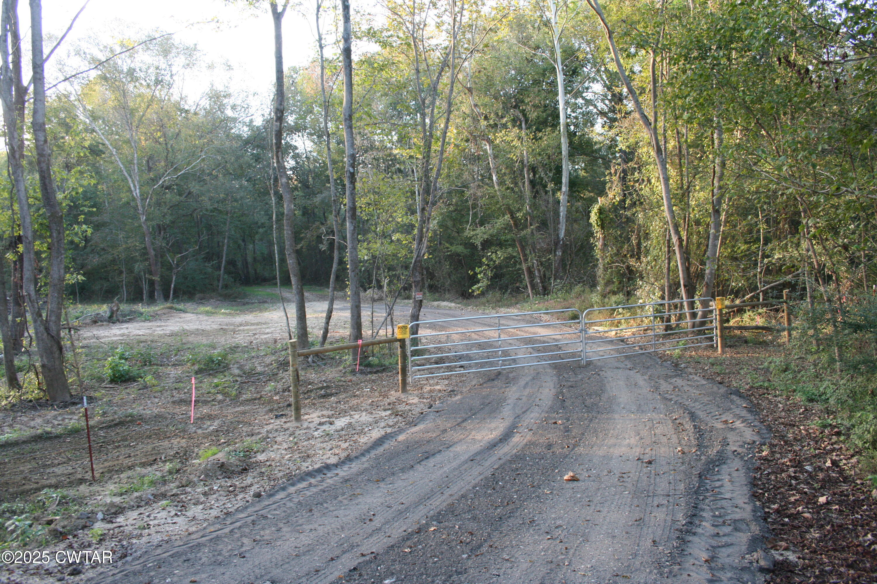 0 Garland Road Henderson, TN 38340 - Photo 11 of 15 a view of outdoor space with trees
