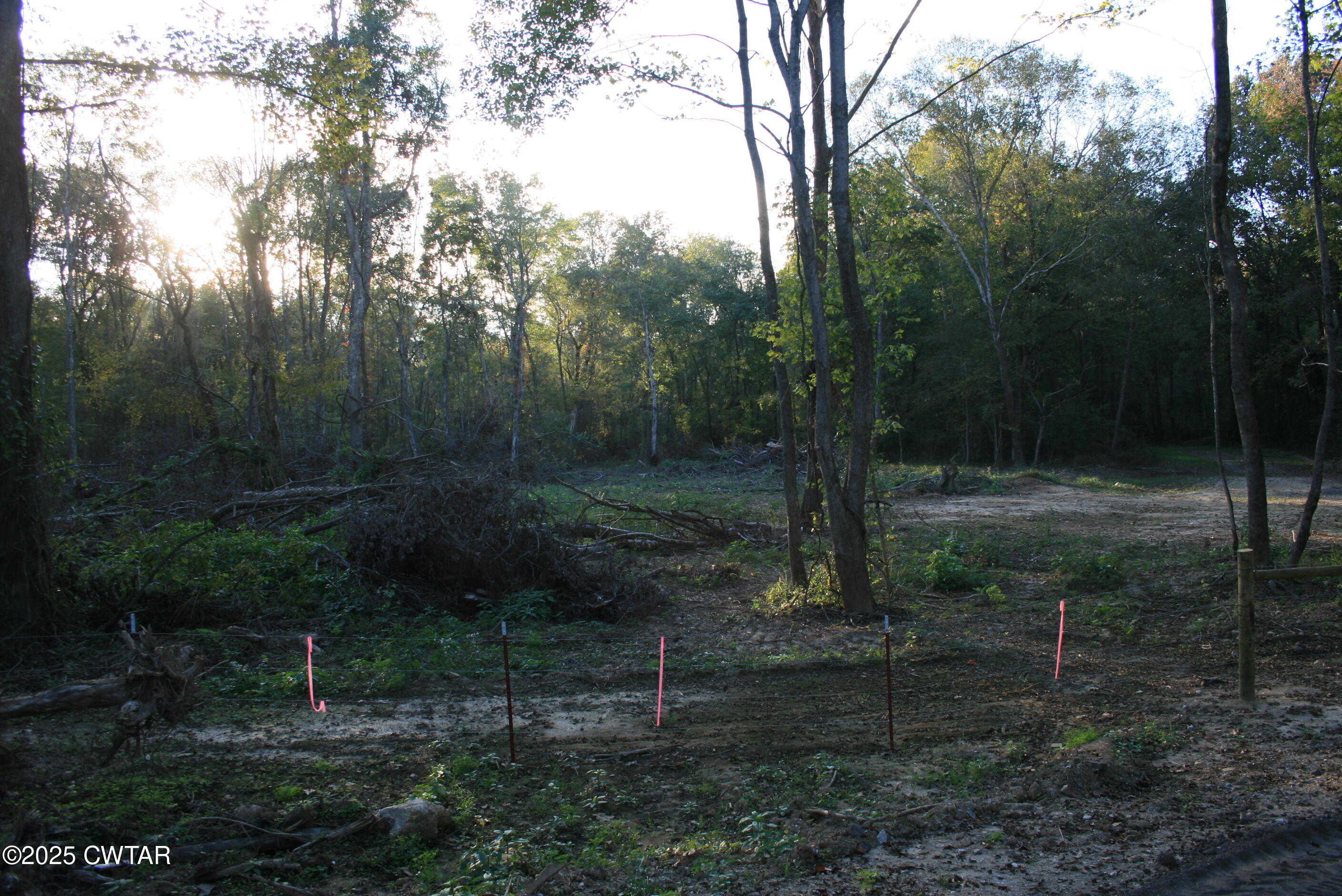 0 Garland Road Henderson, TN 38340 - Photo 12 of 15 a view of a yard