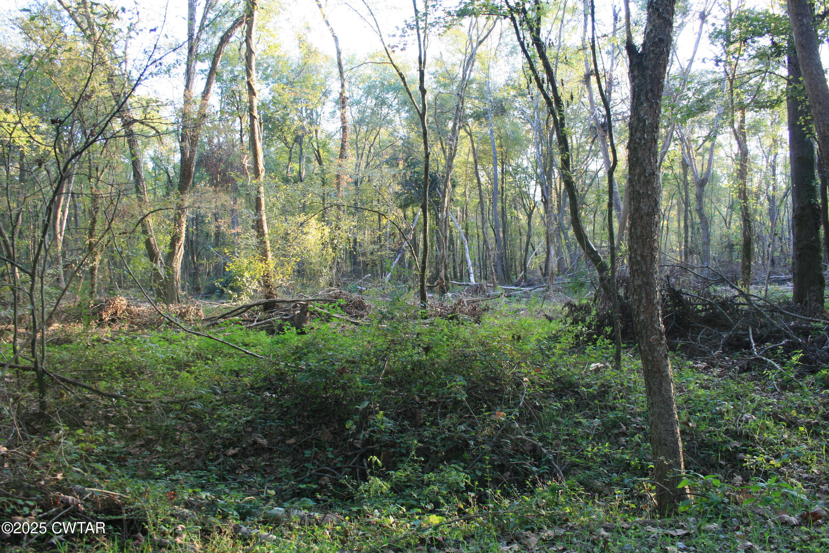 0 Garland Road Henderson, TN 38340 - Photo 14 of 15 a view of outdoor space and green space