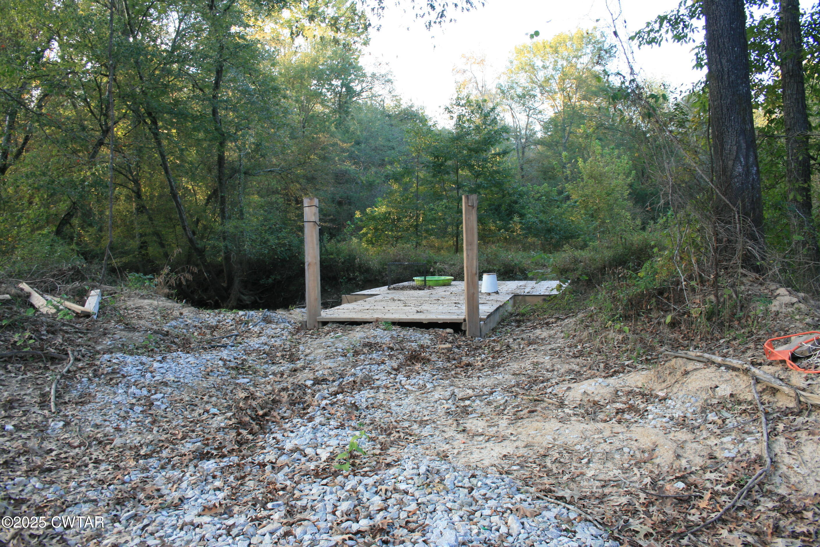 0 Garland Road Henderson, TN 38340 - Photo 15 of 15 a view of a forest filled with trees