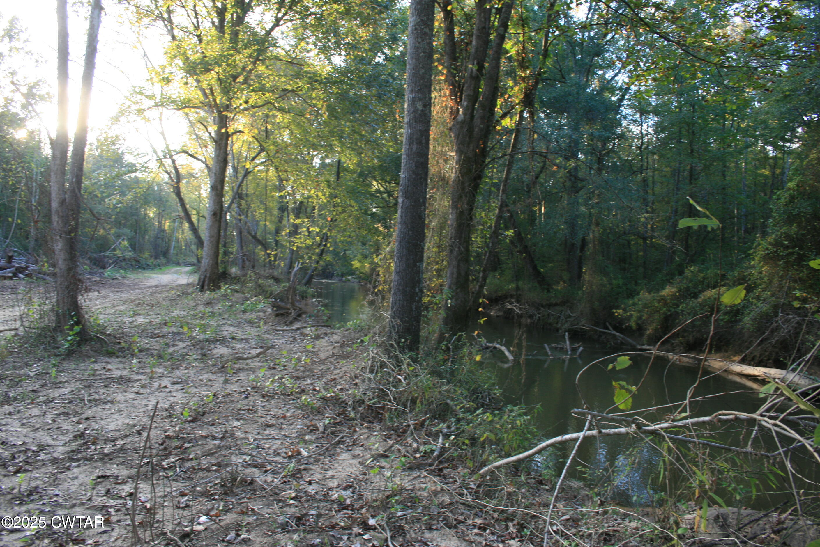 0 Garland Road Henderson, TN 38340 - Photo 2 of 15 a backyard of a house with lots of green space