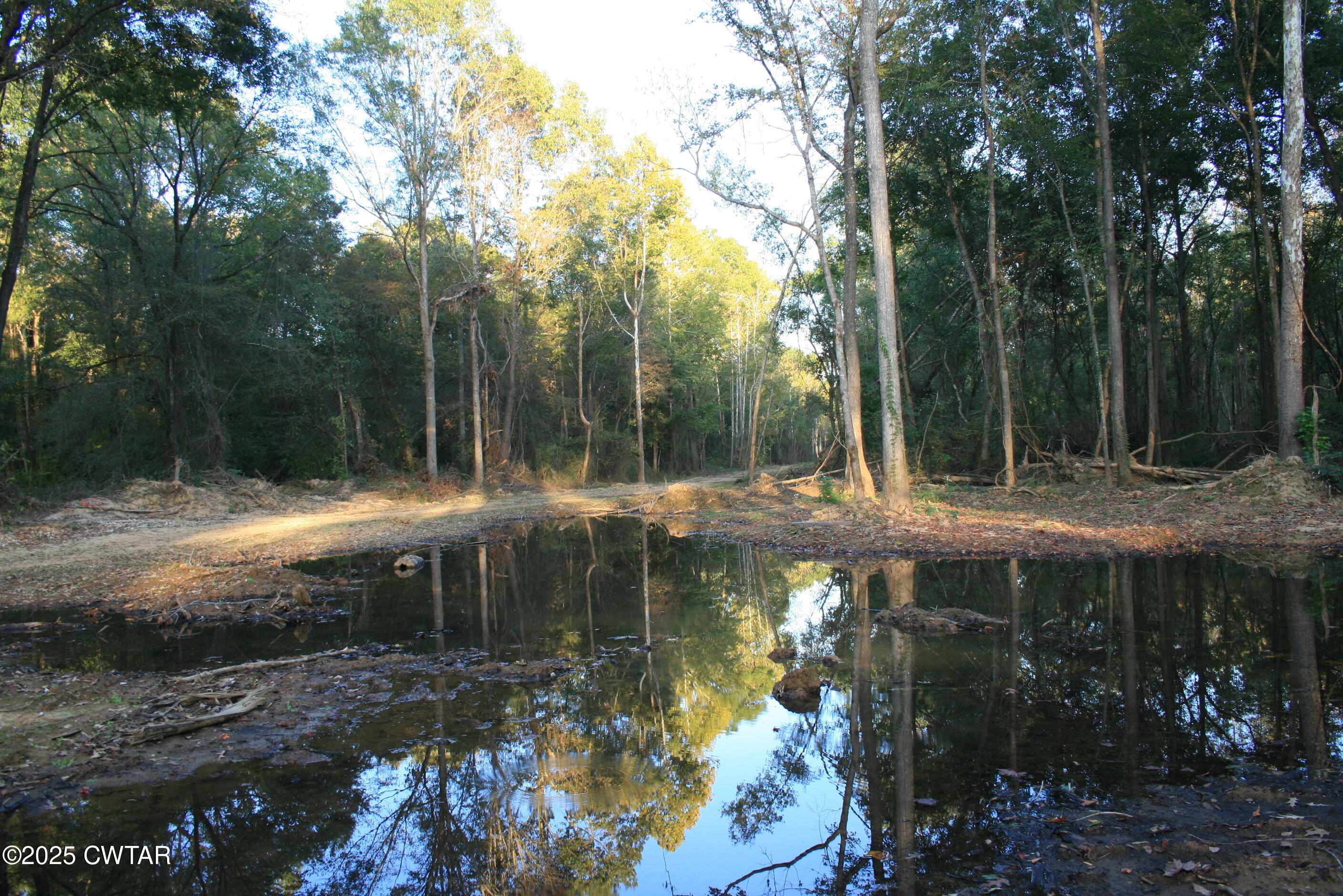 0 Garland Road Henderson, TN 38340 - Photo 5 of 15 a backyard of a house with table and chairs