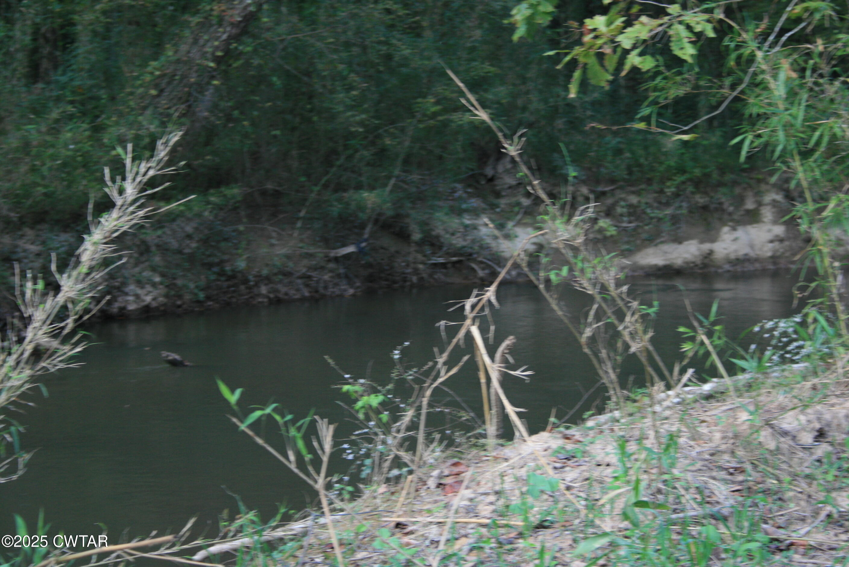 0 Garland Road Henderson, TN 38340 - Photo 6 of 15 a backyard of a house with lots of green space and lake view