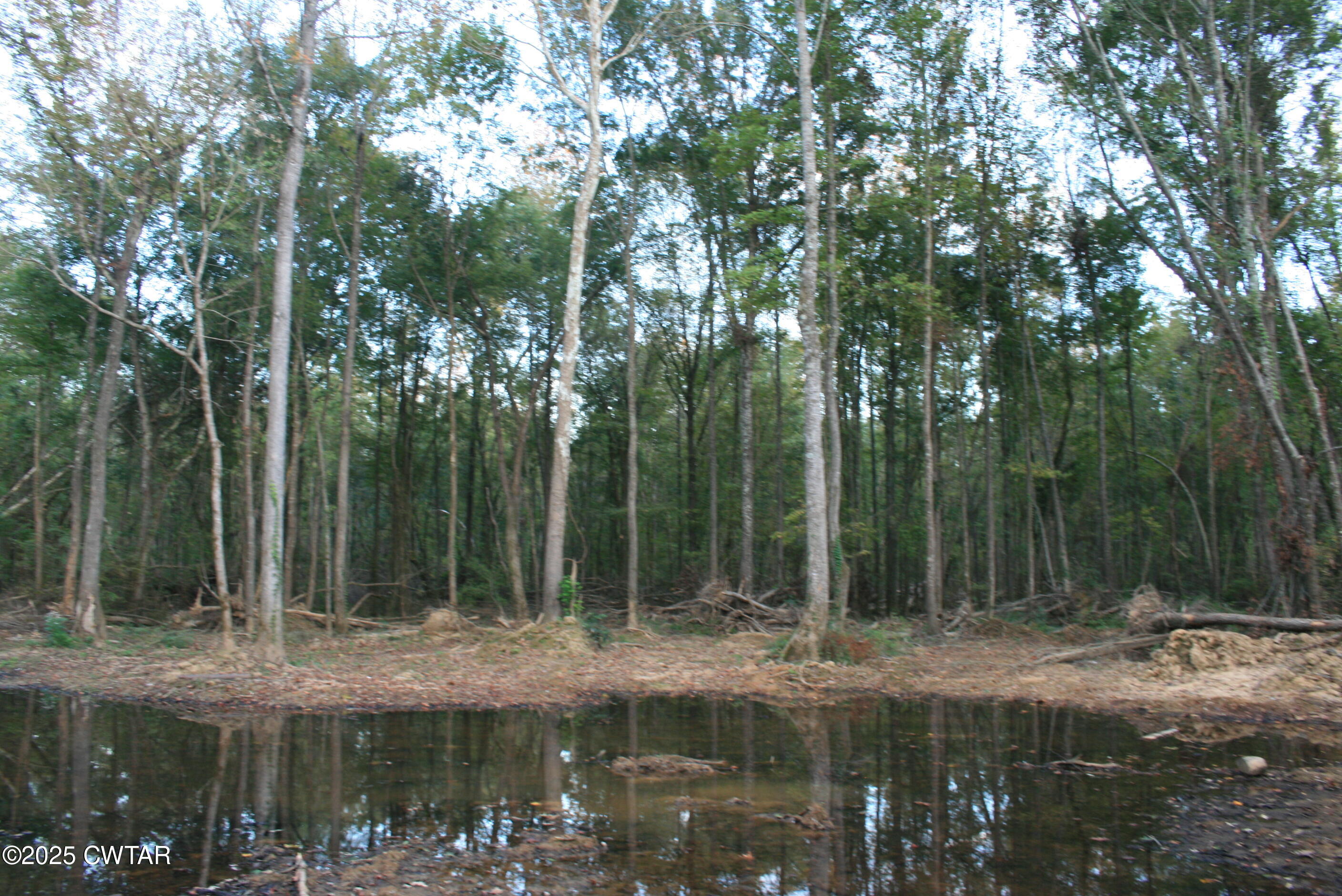 0 Garland Road Henderson, TN 38340 - Photo 7 of 15 a view of water with tall trees