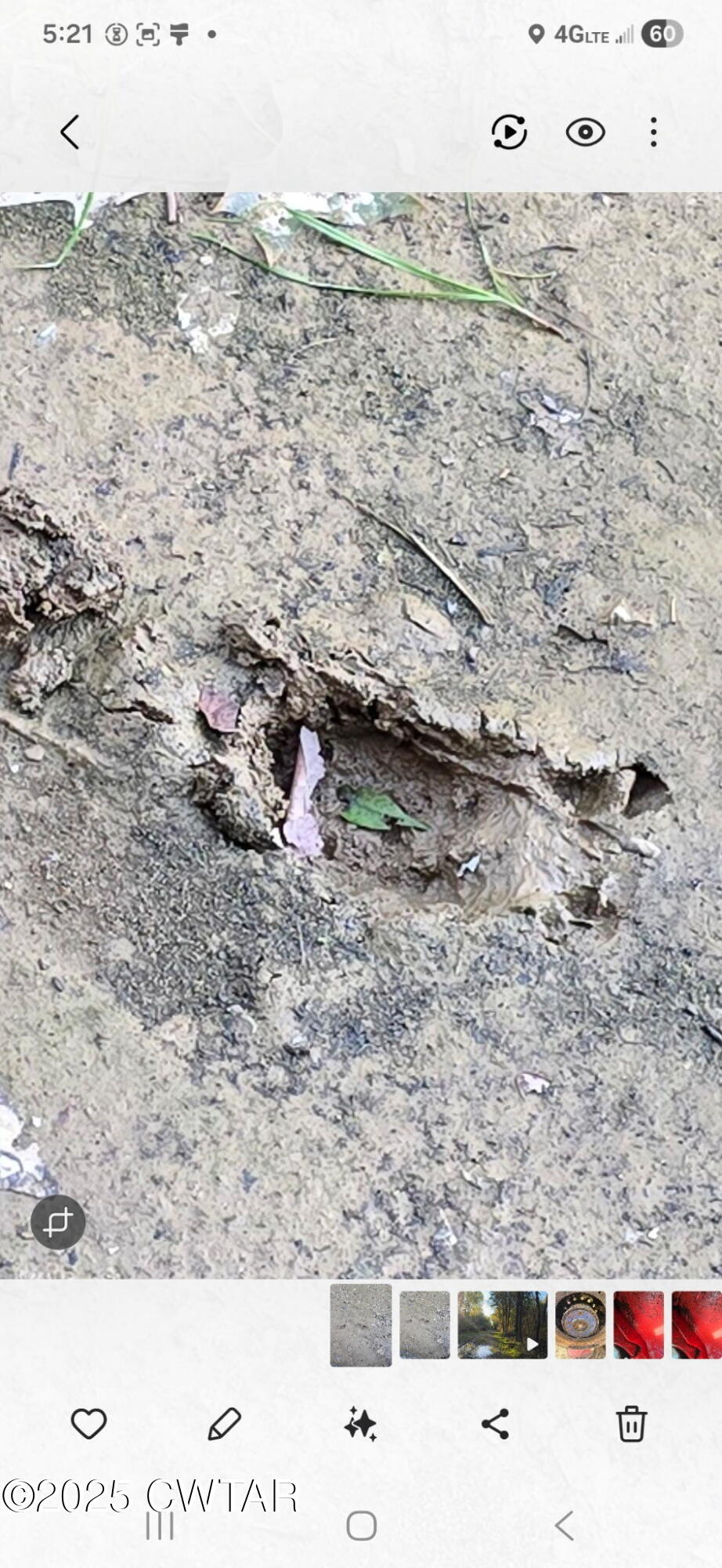 0 Garland Road Henderson, TN 38340 - Photo 10 of 15 a view of ocean view