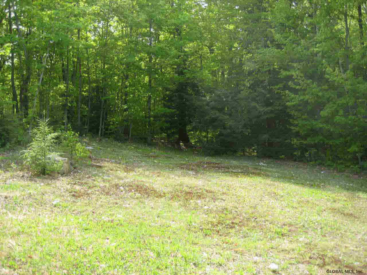 29 Drexel Road Thurman, NY 12810 - Photo 12 of 12 Photo 12