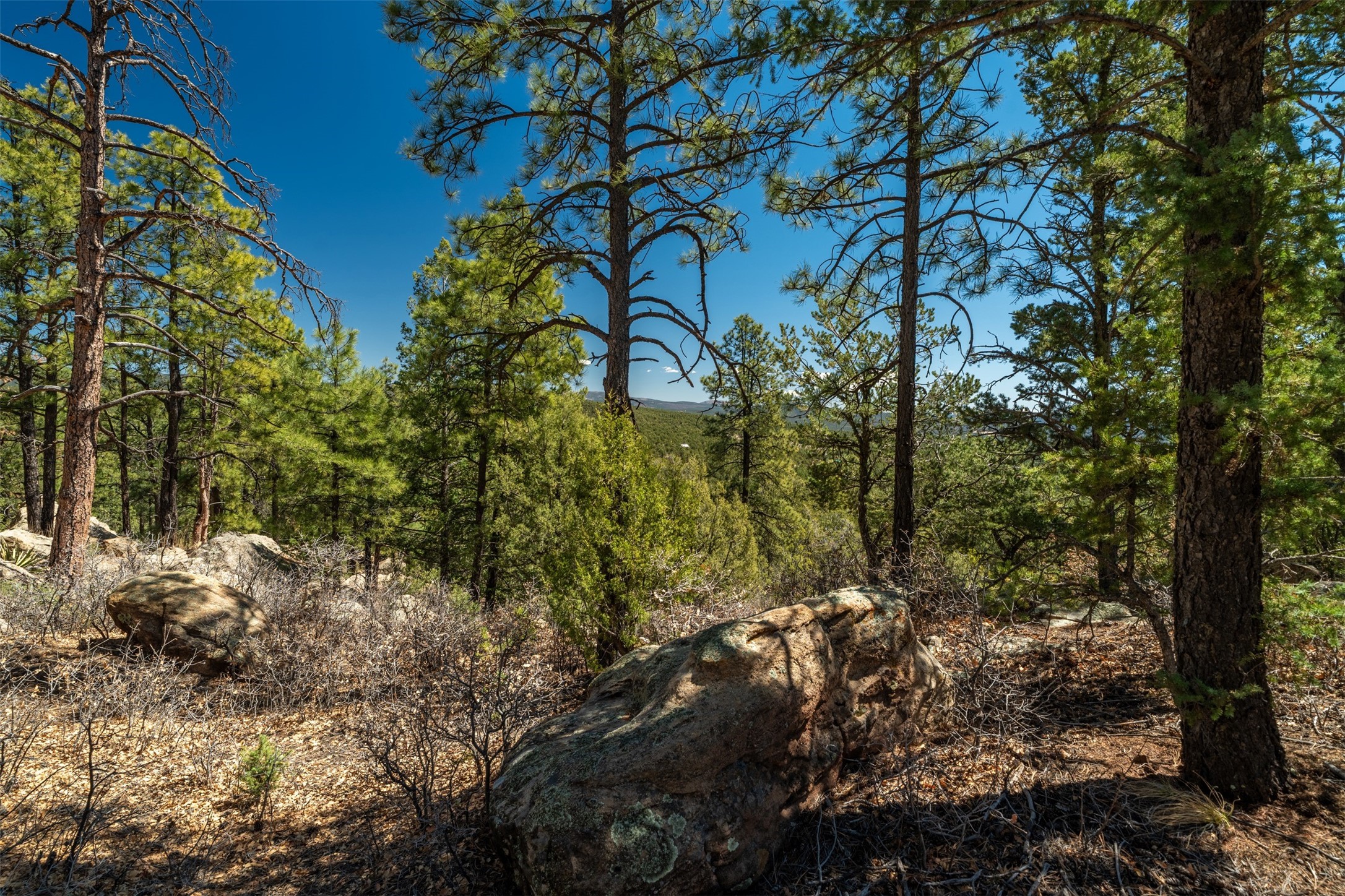 30 Monte La Cueva Road Glorieta, NM 87535 - Photo 57 of 91
