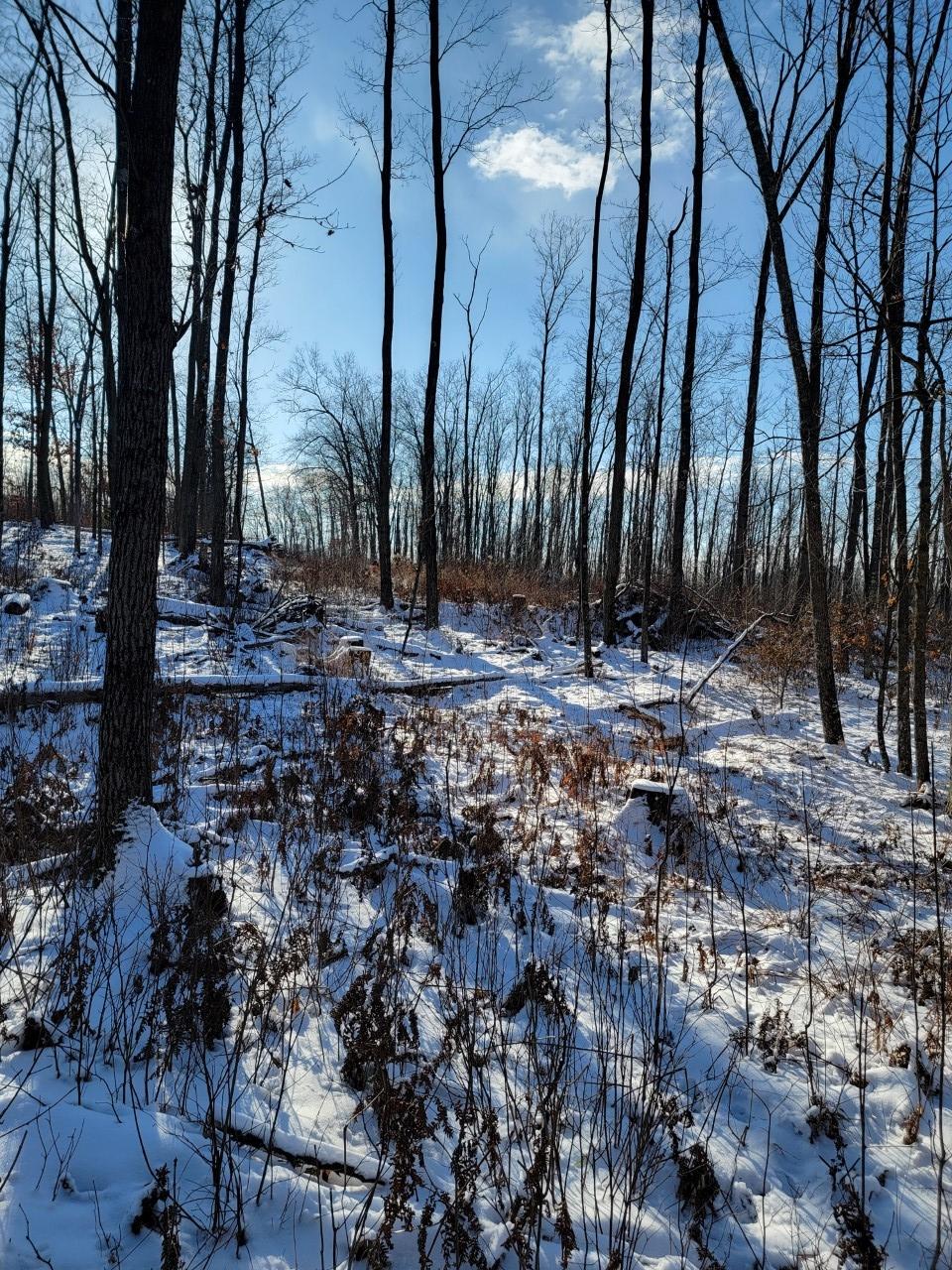 On Rollingwood Road Stone Lake, WI 54876 - Photo 28 of 32 Gallery Image 28