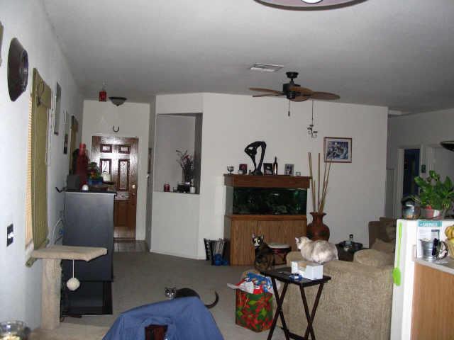 6302 West Riva Road Phoenix, AZ 85043 - Photo 1 of 3 Primary Photo