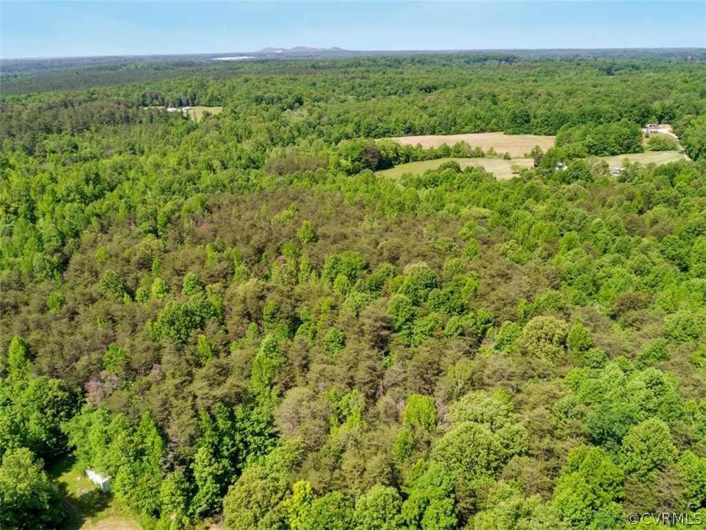 357 Belle Road Dillwyn, VA 23936 - Photo 26 of 29 a view of outdoor space and city view