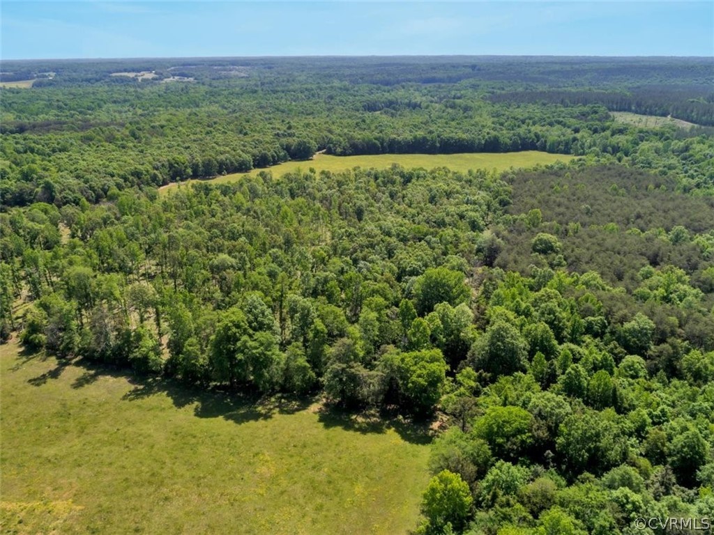 357 Belle Road Dillwyn, VA 23936 - Photo 29 of 29 a view of a lush green forest with a houses