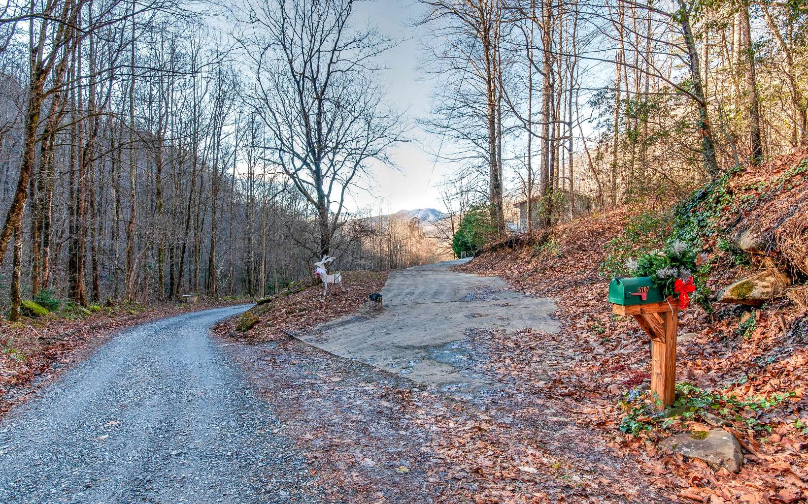 5707 Boiling Springs Road Murphy, NC 28906 - Photo 48 of 57 Additional View