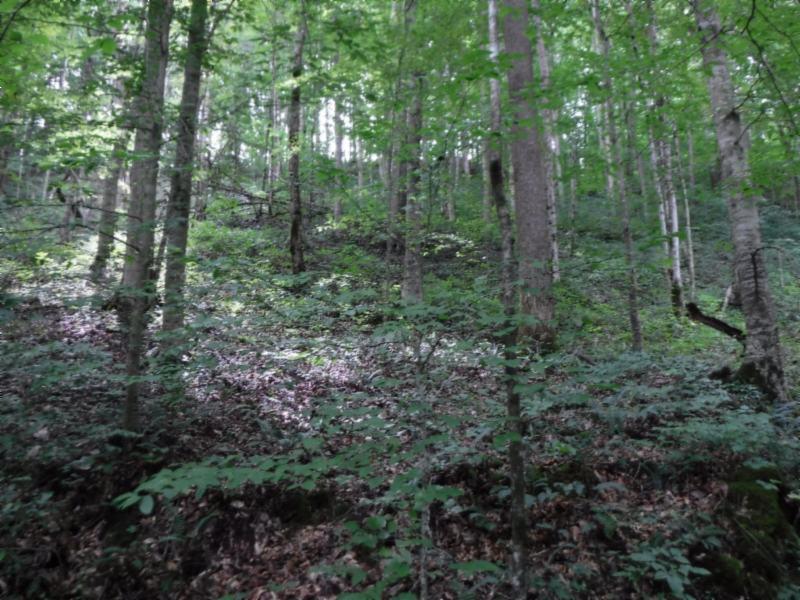 23 Garrett Mill Road Livingston, TN 38570 - Photo 14 of 30 Gallery Image 14