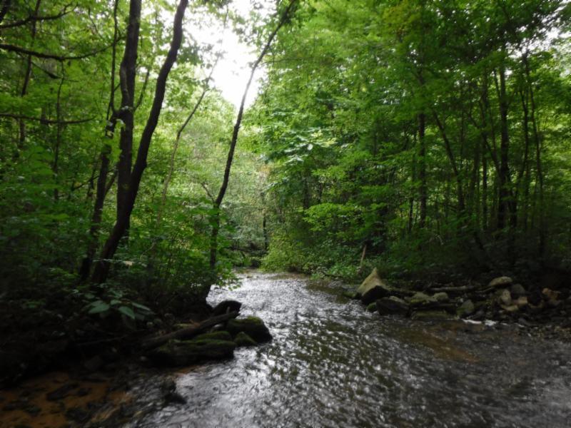 23 Garrett Mill Road Livingston, TN 38570 - Photo 25 of 30 Gallery Image 25