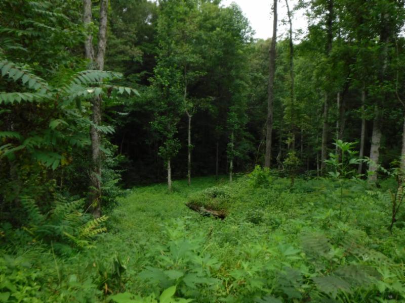 23 Garrett Mill Road Livingston, TN 38570 - Photo 27 of 30 Gallery Image 27